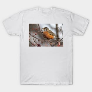 American Robin T-Shirt